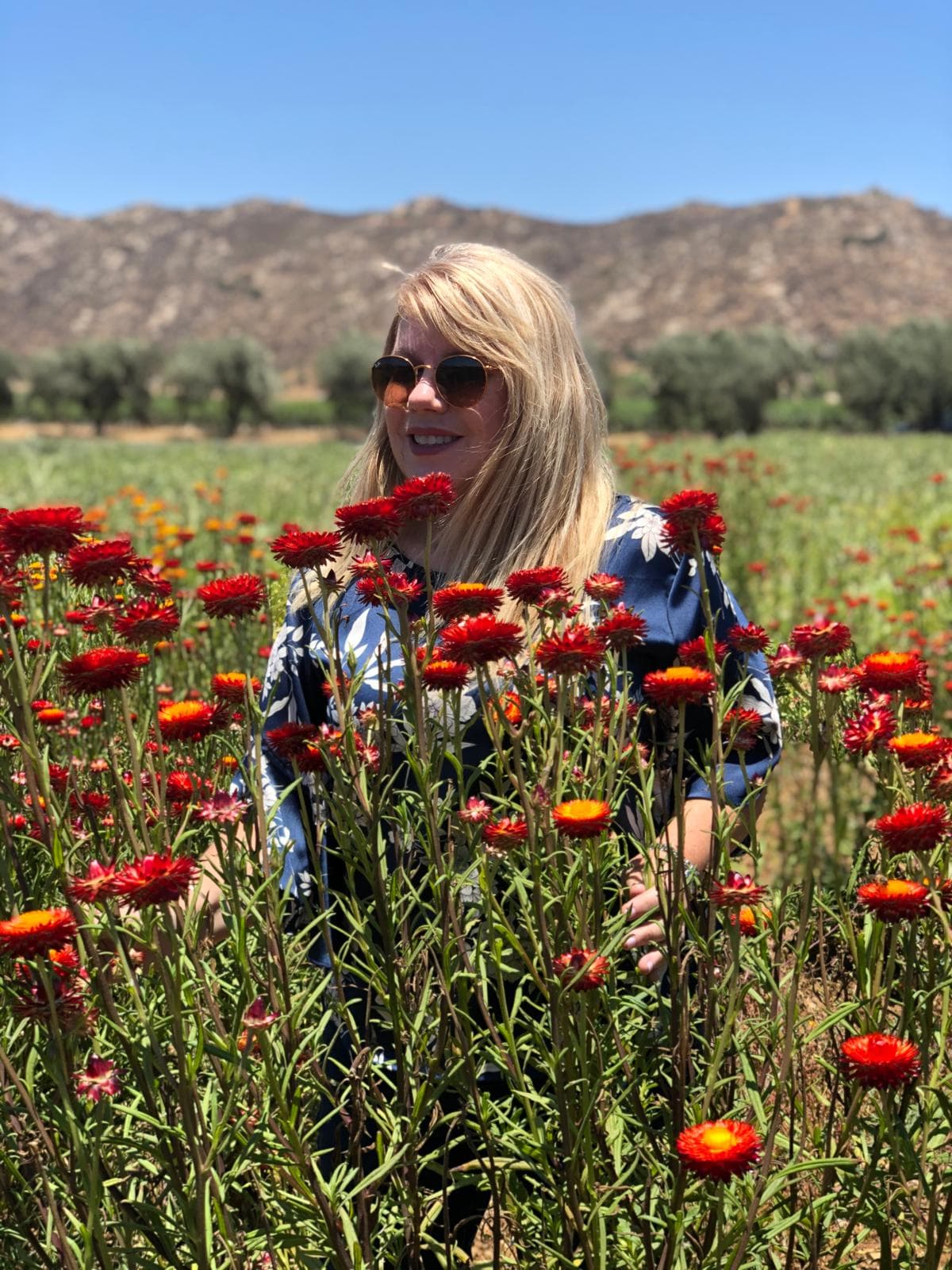 Debbie in the flower fields
