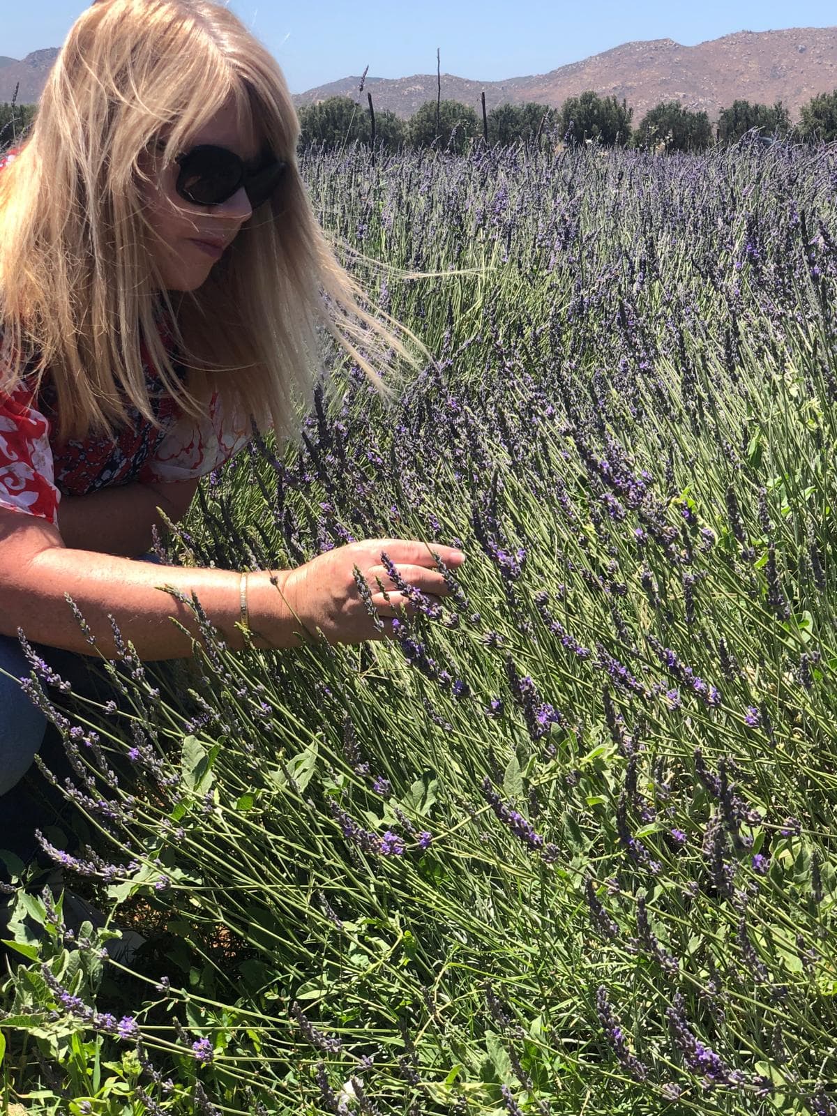 Designer in the lavender field